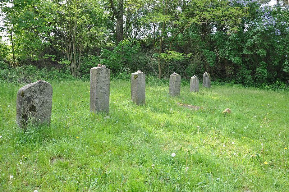 eine Reihe von Grabsteine im hohen Gras