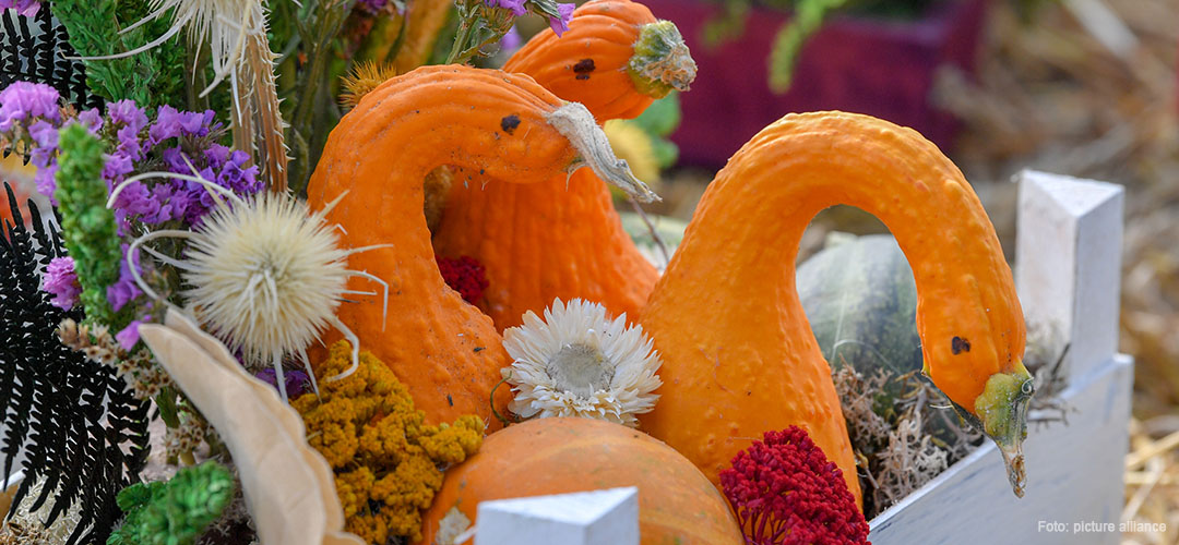 Dorf- und Erntefest, Foto picture alliance