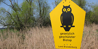 Naturschutzeule