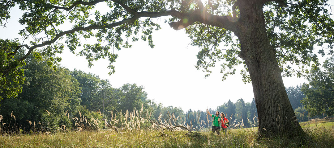 Wanderung in der Schorfheide