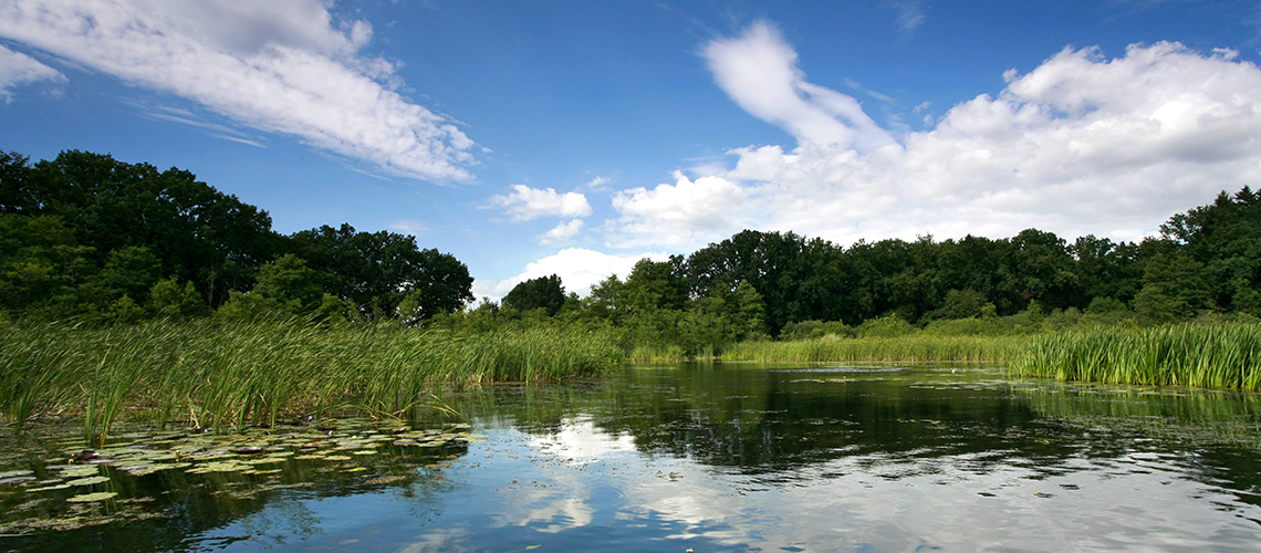 Ufer des Schumellensees mit Spiegelungen des Himmels