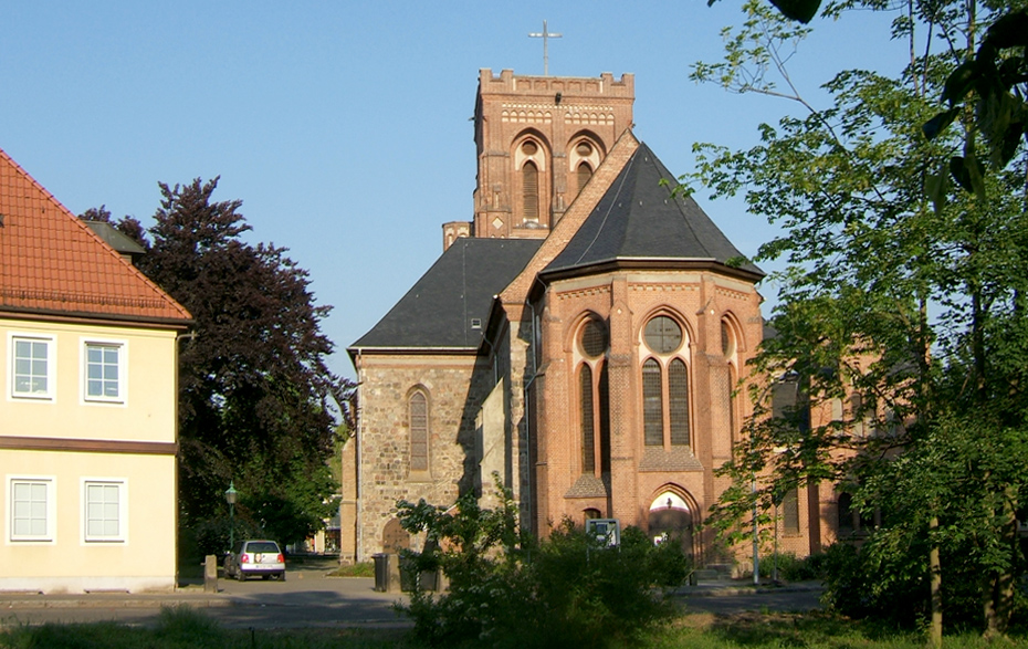 Foto: Rotbuche zwischen Kirche und Praxis Foto: Rotbuche zwischen Kirche und Praxis