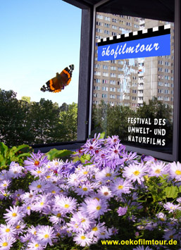 Plakat: Spiegelbild eines Hochhauses in einer Fensterscheibe, Schmetterling vor blauem Himmel, im Vordergrund Blumen Plakat: Spiegelbild eines Hochhauses in einer Fensterscheibe, Schmetterling vor blauem Himmel, im Vordergrund Blumen