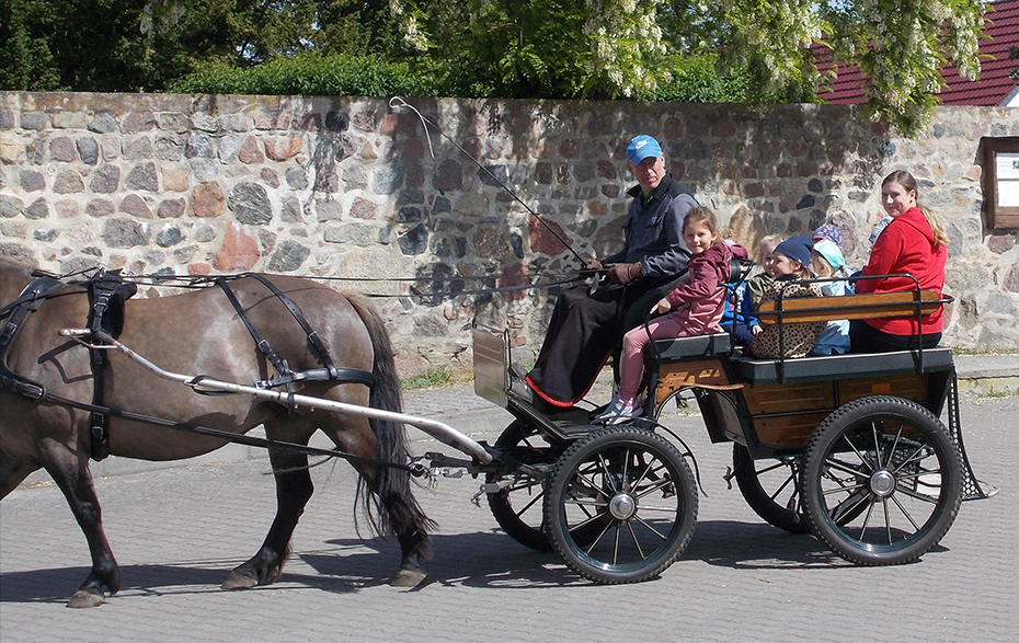 Foto: Kinder in der Pferdekutsche