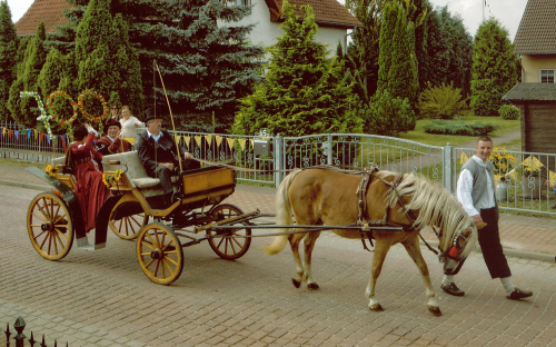 Foto: Kutsche mit einer großen 700 Foto: Kutsche mit einer großen 700