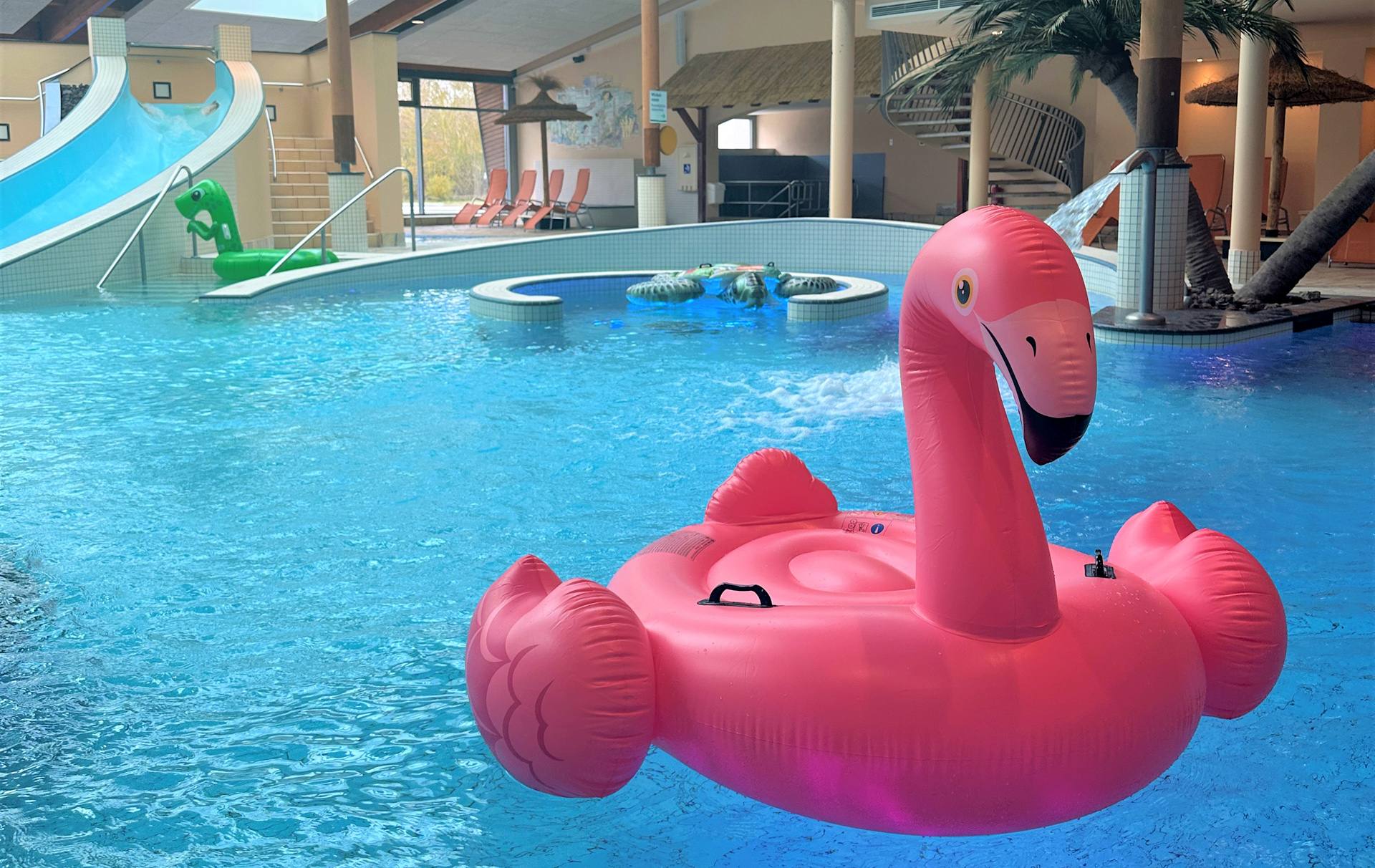 Foto: Flamingo-Schwimmring im Schwimmbecken Foto: Flamingo-Schwimmring im Schwimmbecken