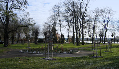 Foto: Rondell im Hugenottenpark mit neugepflanzten Bäumen Foto: Rondell im Hugenottenpark mit neugepflanzten Bäumen