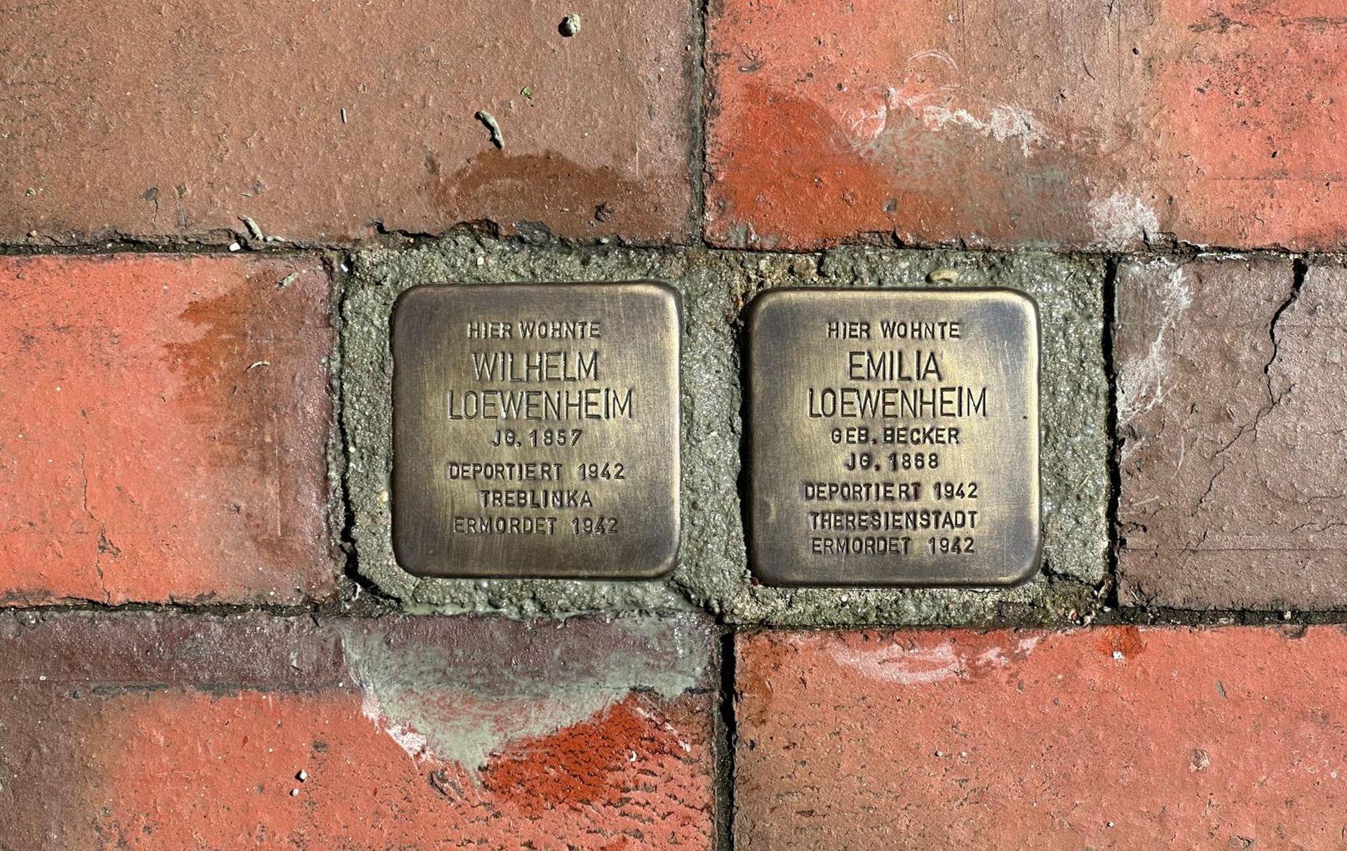 Foto: 2 Stolpersteine des Ehepaars Loewenheim