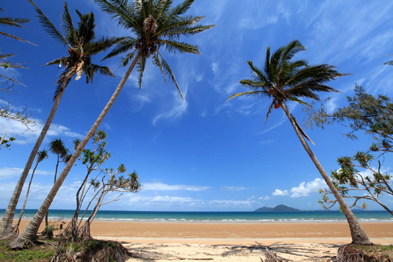 Foto: Strand mit Plamen Foto: Strand mit Plamen