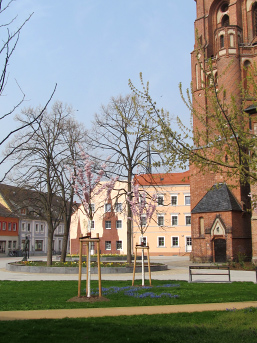 Foto: Kirchplatz im Frühling Foto: Kirchplatz im Frühling