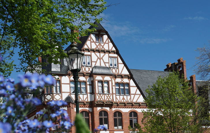 Foto: Giebel der Stadtmühle