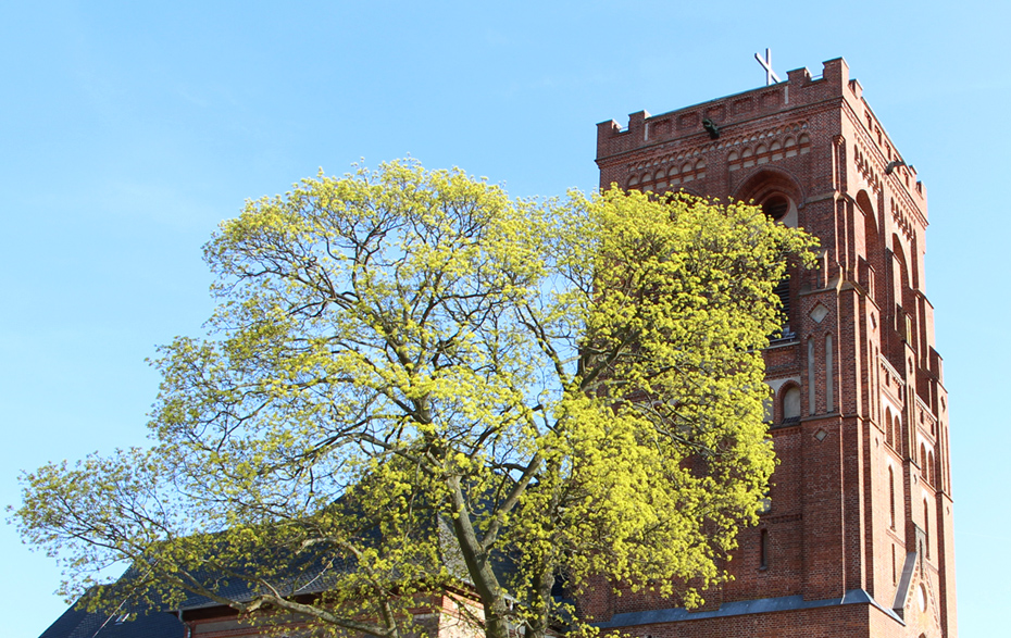 Foto: Turm der evangelsichen Kirche mit grünendem Baum davor Foto: Turm der evangelsichen Kirche mit grünendem Baum davor