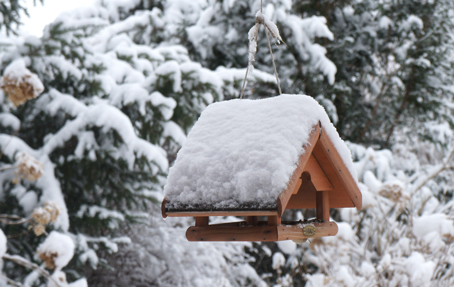 Foto: Vogelhaus mit Schnee Foto: Vogelhaus mit Schnee