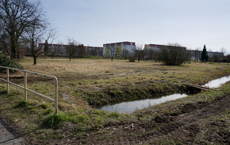 Foto: freie Fläche am Wassergraben