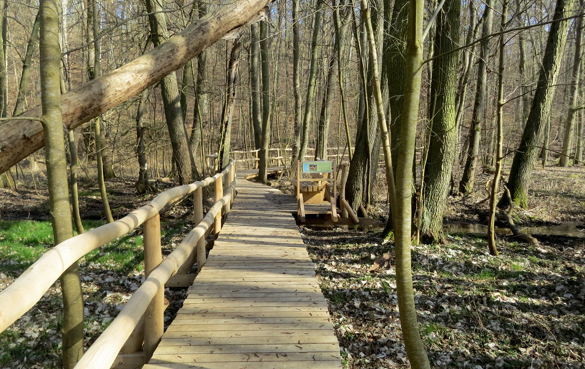 Foto: Holzbohlenweg Foto: Holzbohlenweg