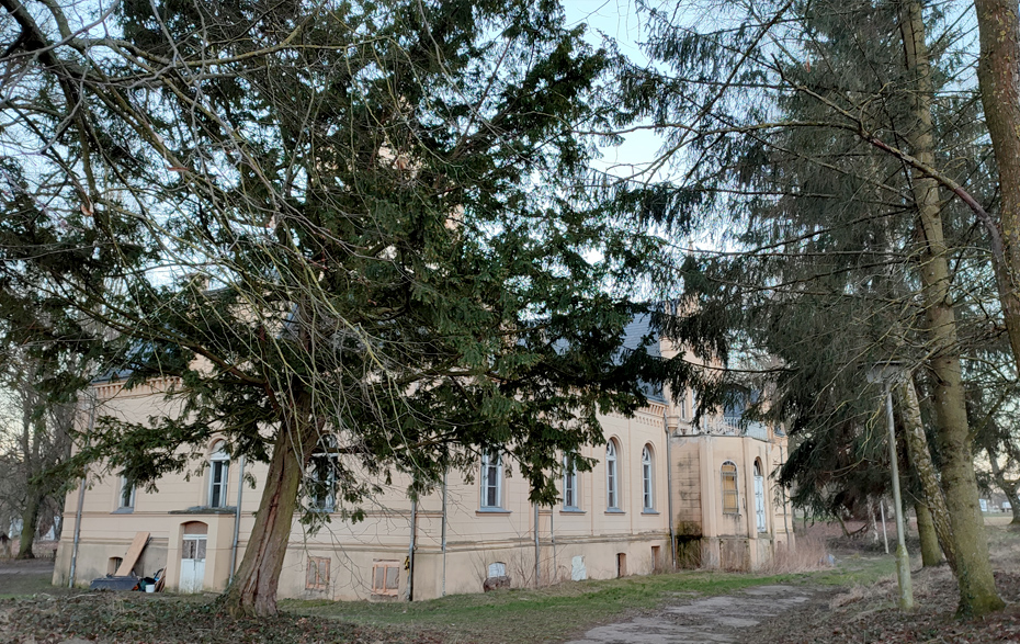 Foto: hinter Nadelbäumen verstecktes Herrenhaus