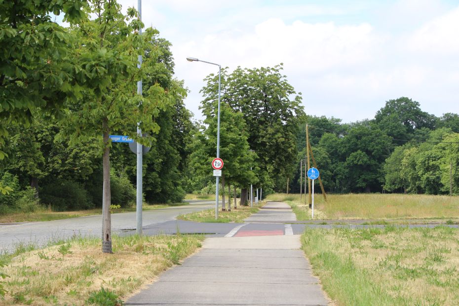 Foto: Radweg mit dem Abzweig Langer Grund Foto: Radweg mit dem Abzweig Langer Grund