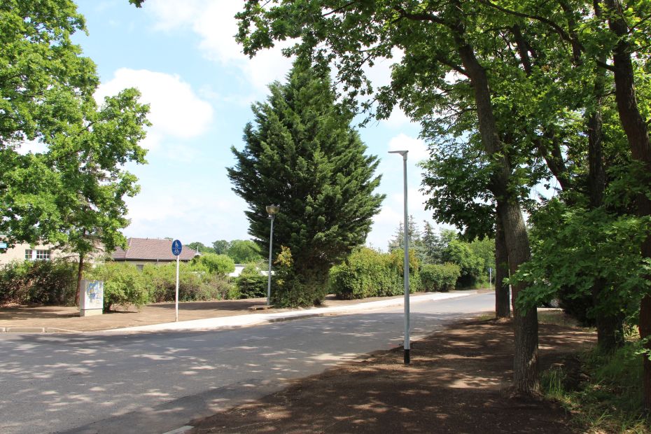 Foto: Radweg und Straße Foto: Radweg und Straße
