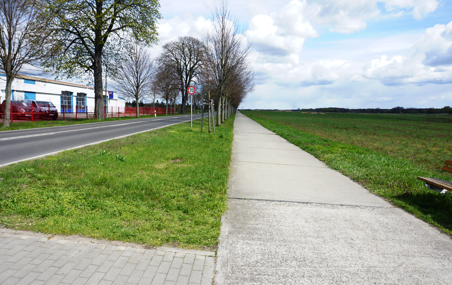 Foto: Radweg, links Allee und Autohaus, rechts Feld Foto: Radweg, links Allee und Autohaus, rechts Feld