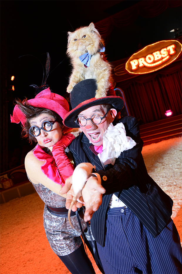 Foto: 2 Clowns mit Kater Foto: 2 Clowns mit Kater