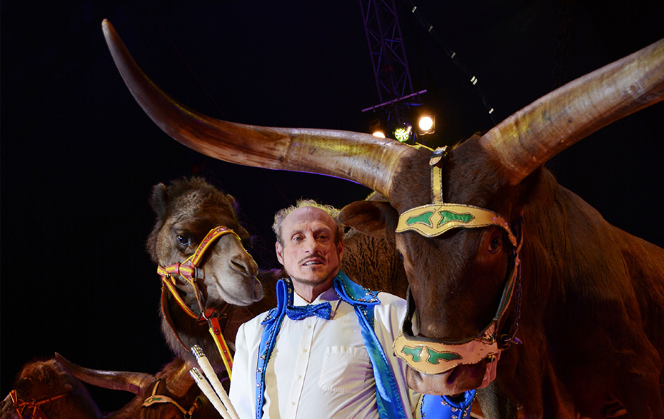 Foto: Probst mit Rind und Kamel Foto: Probst mit Rind und Kamel