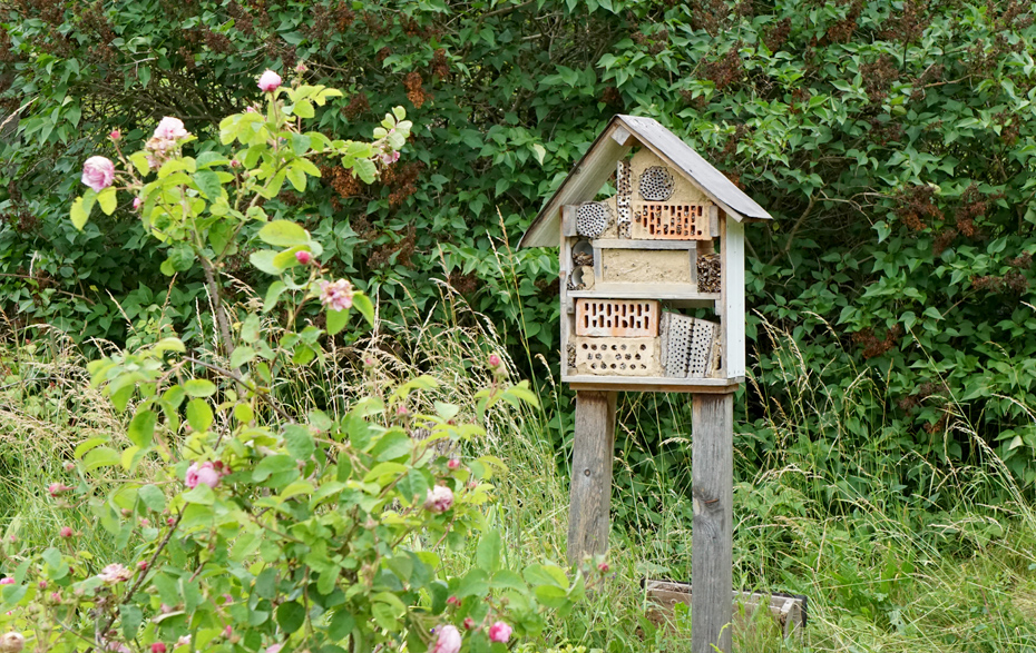 Foto: Insektenhotel