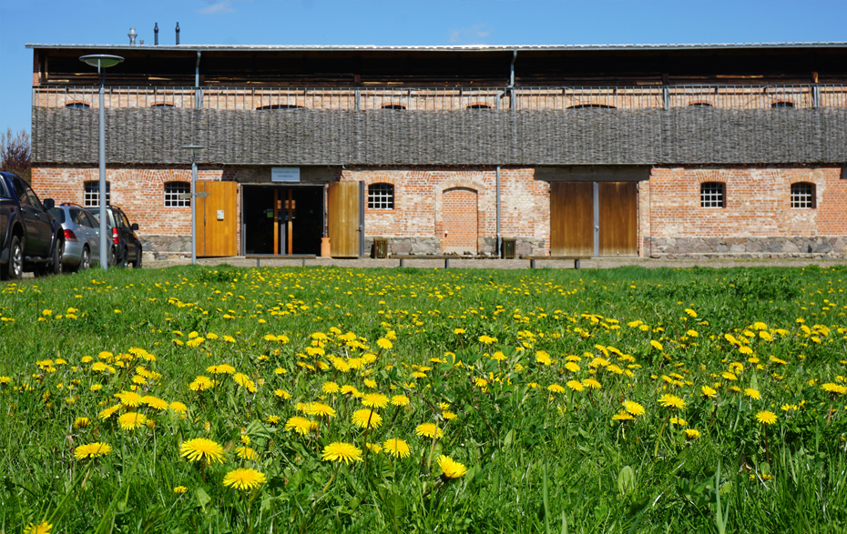 Foto: Nationalparkhaus mit geöffneter Tür, im Vordergrund eine Butterblumenwiese Foto: Nationalparkhaus mit geöffneter Tür, im Vordergrund eine Butterblumenwiese