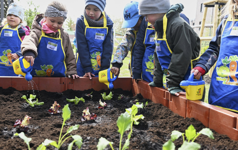 Foto: mehrere Kinder an einem Hochbeet beim Begießen der Pflanzen Foto: mehrere Kinder an einem Hochbeet beim Begießen der Pflanzen
