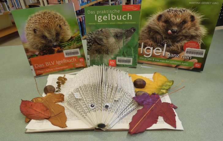 Bild: Igelbücher und Papierigel Bild: Igelbücher und Papierigel