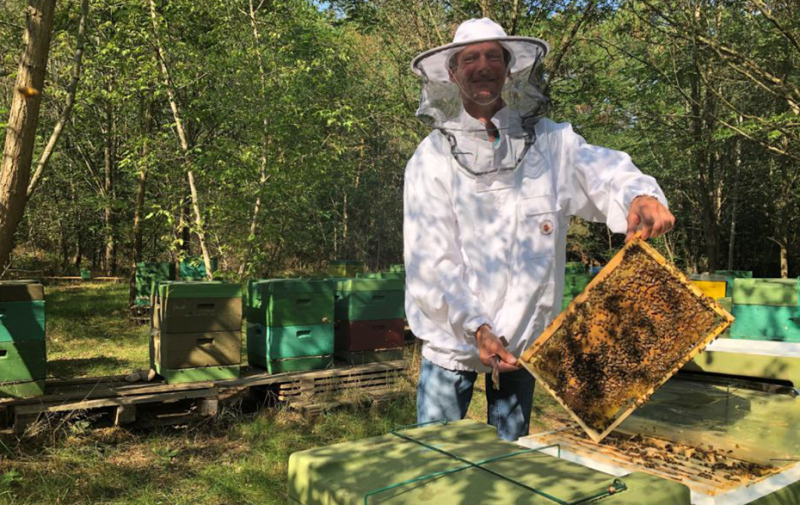 Foto: Imker mit Bienenstock Foto: Imker mit Bienenstock