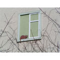 Foto: „Katzenfenster“ von Elke Ring