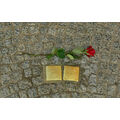 Foto: 2 Stolpersteine und eine Rose