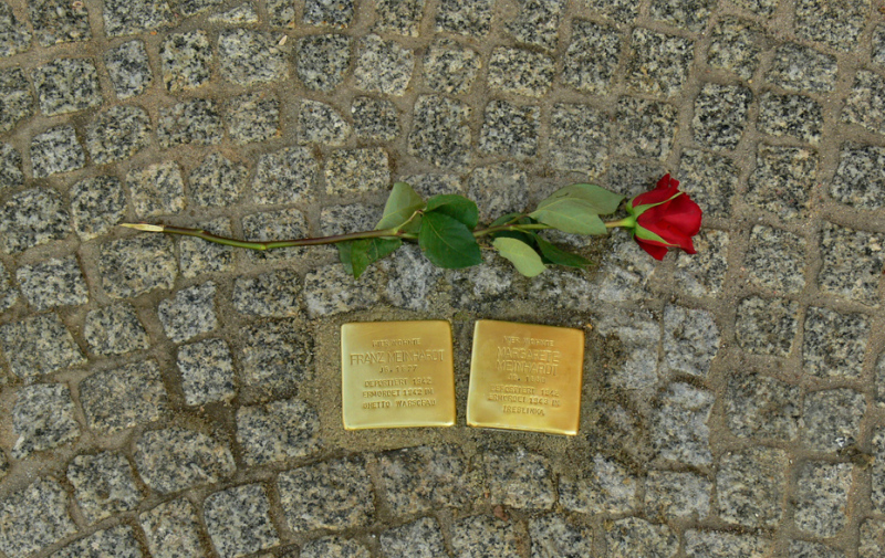 Foto: 2 Stolpersteine und eine Rose