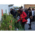 Foto: Pflanzenstand mit Kundschaft
