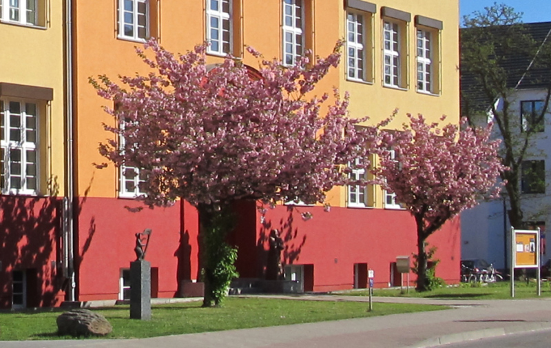 Foto: zwei rosa blühende Bäume vor dem orange- und rot-farbenen Gebäude Foto: zwei rosa blühende Bäume vor dem orange- und rot-farbenen Gebäude