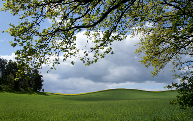 Foto: Landschaft am Stadtrand