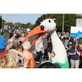 Foto: Storch wendet sich an die Zuschauer