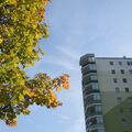 Foto vom 9. Oktober 2015: farbige Blätter vor blauem Himmel und Hochhaus