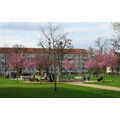Foto vom 15. April 2018: Besucher am neuen Schlossmodell
