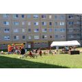 Foto: Festareal