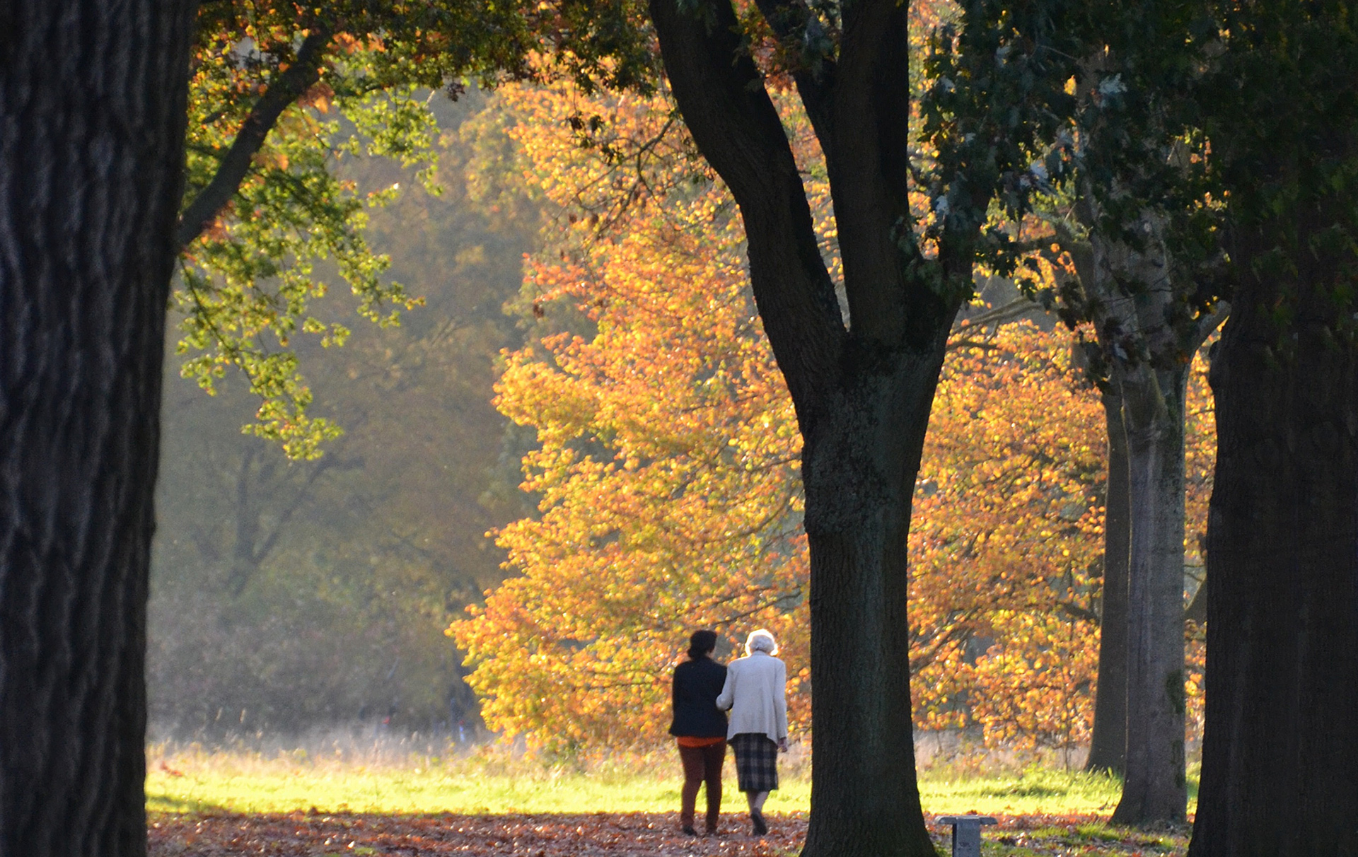 Foto: 2 Spaziergängerinen im herbstlichen Park Foto: 2 Spaziergängerinen im herbstlichen Park