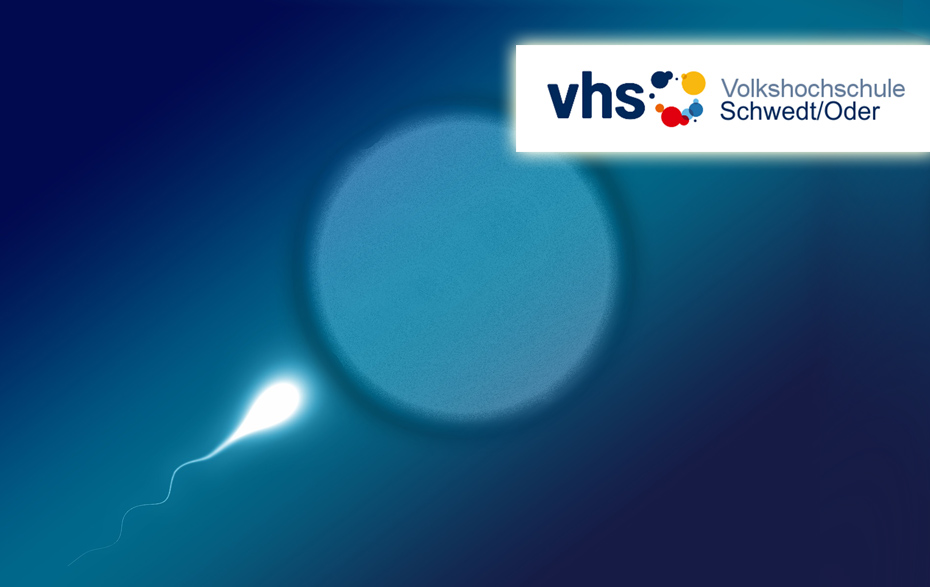 Foto: Eizelle, Sperma und VHS-Logo Foto: Eizelle, Sperma und VHS-Logo