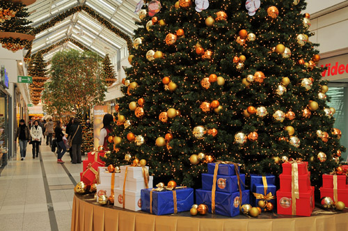 Foto: Weihnachtsbaum im Oder-Center Foto: Weihnachtsbaum im Oder-Center