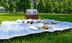 Picknick-im-Park-Schloss-Neuhardenberg,-Foto-TMB-Fotoarchiv_Steffen-Lehmann.png