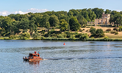 Rapsfeld in der Schorfheide_c_TMB-Fotoarchiv_Steffen_Lehmann